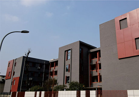 行业动态_广东仿石漆_软瓷洞石夯土板布纹石_鎏金板厂家-万彩吧建材