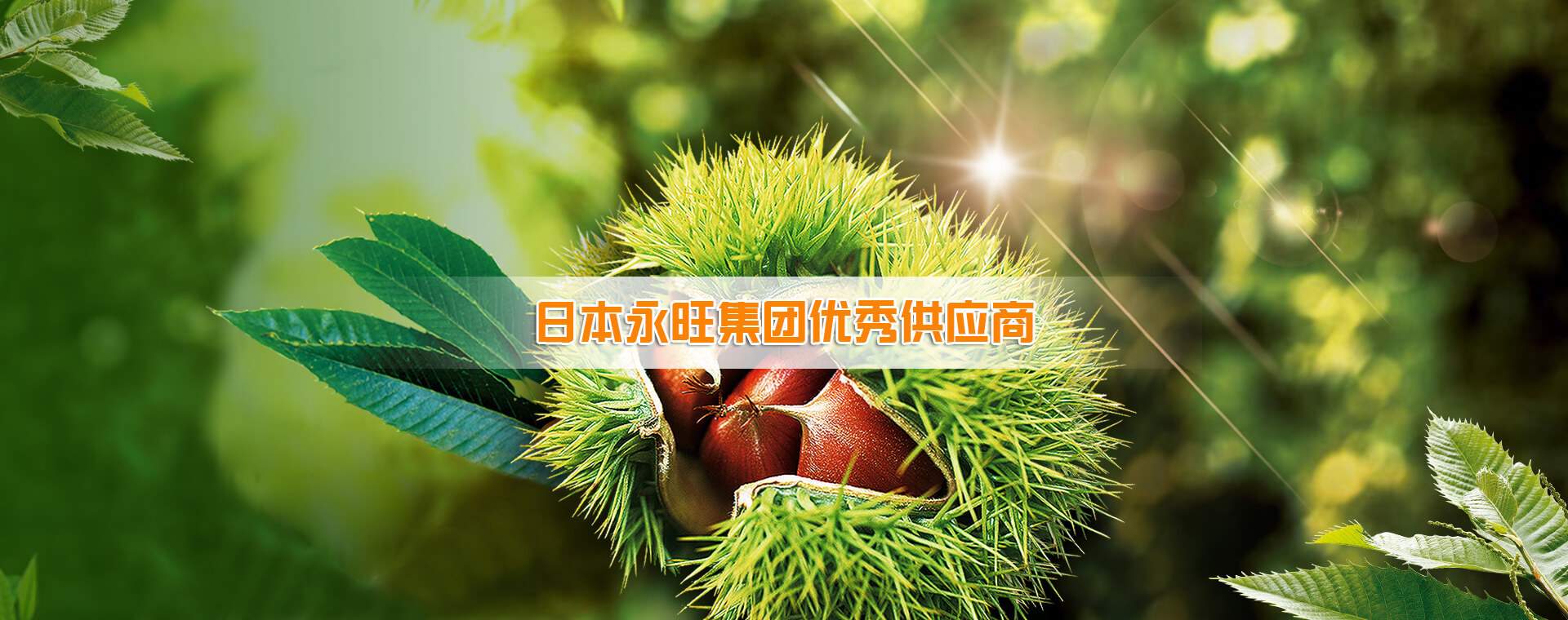 亚游集团·ag8(中国)官网-只為非同凡享